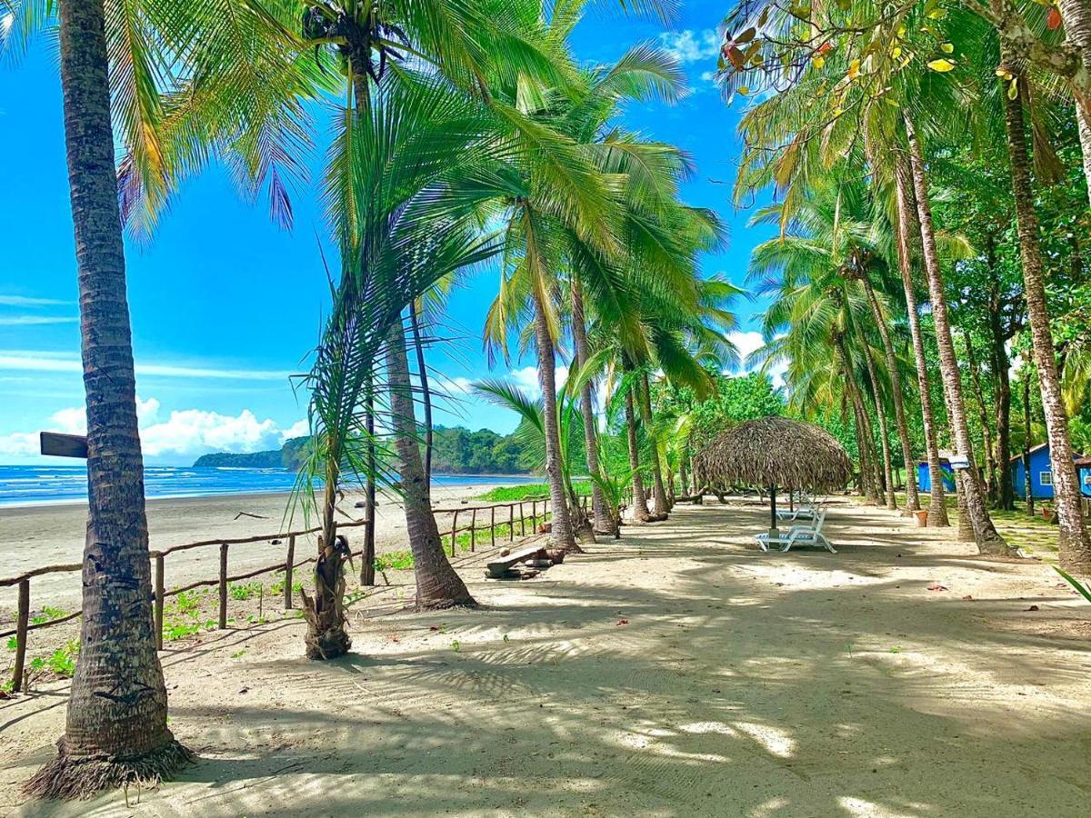 Hotel Oasis & Surf Camp Santa Catalina Eksteriør billede